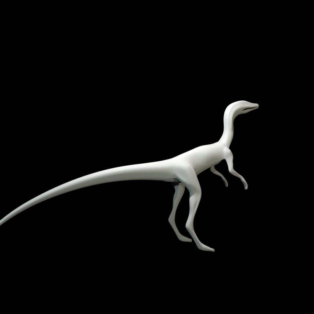Low-poly Compy dinosaur Low-poly 3D model_8