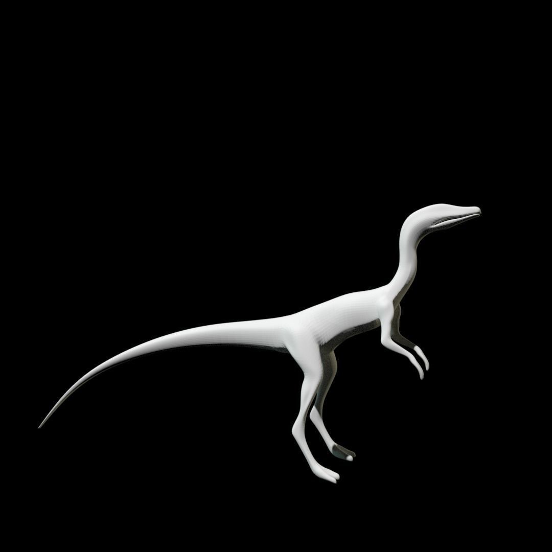 Low-poly Compy dinosaur Low-poly 3D model_4