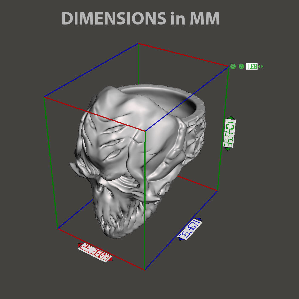 Skull vol4 ring jewelry 3D print model_4