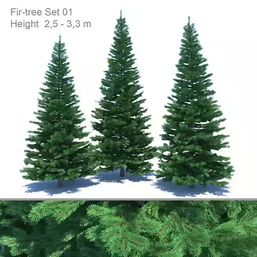Fir-tree Set 03