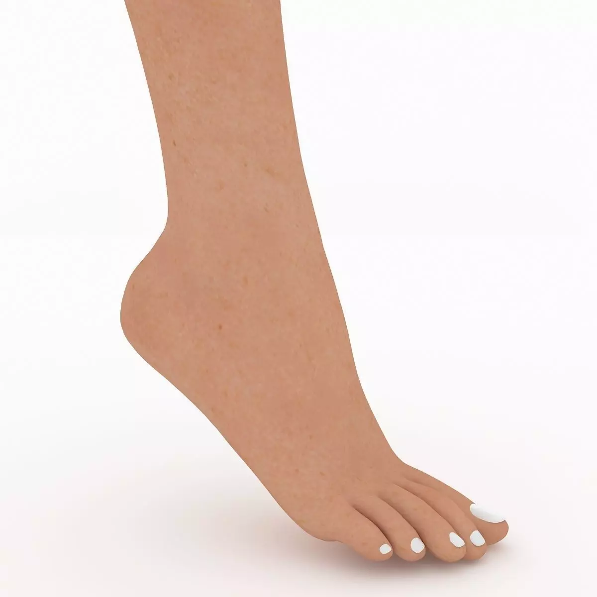 Female Foot 3D model