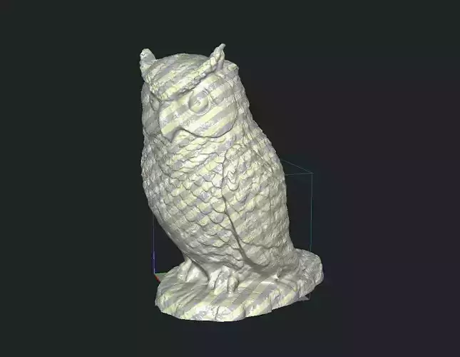 Owl Animal