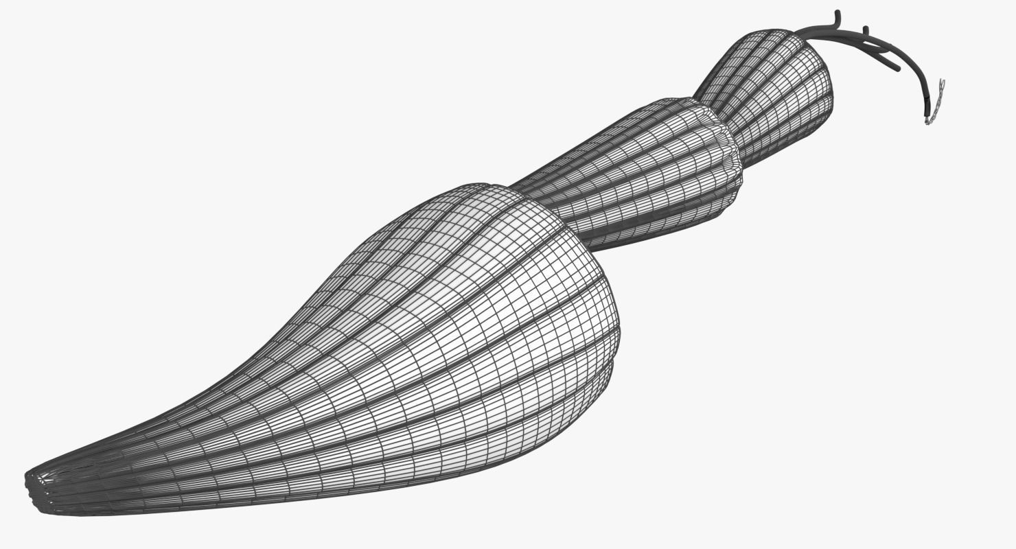 Muscle cross section 3D model_15