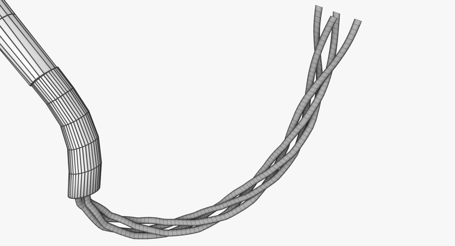 Muscle cross section 3D model_12