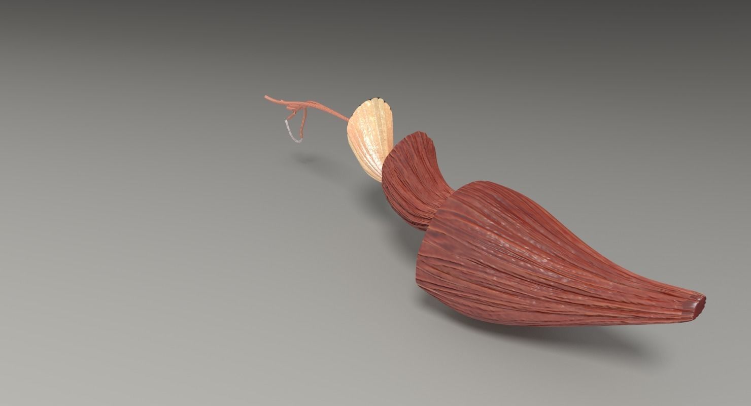 Muscle cross section 3D model_34