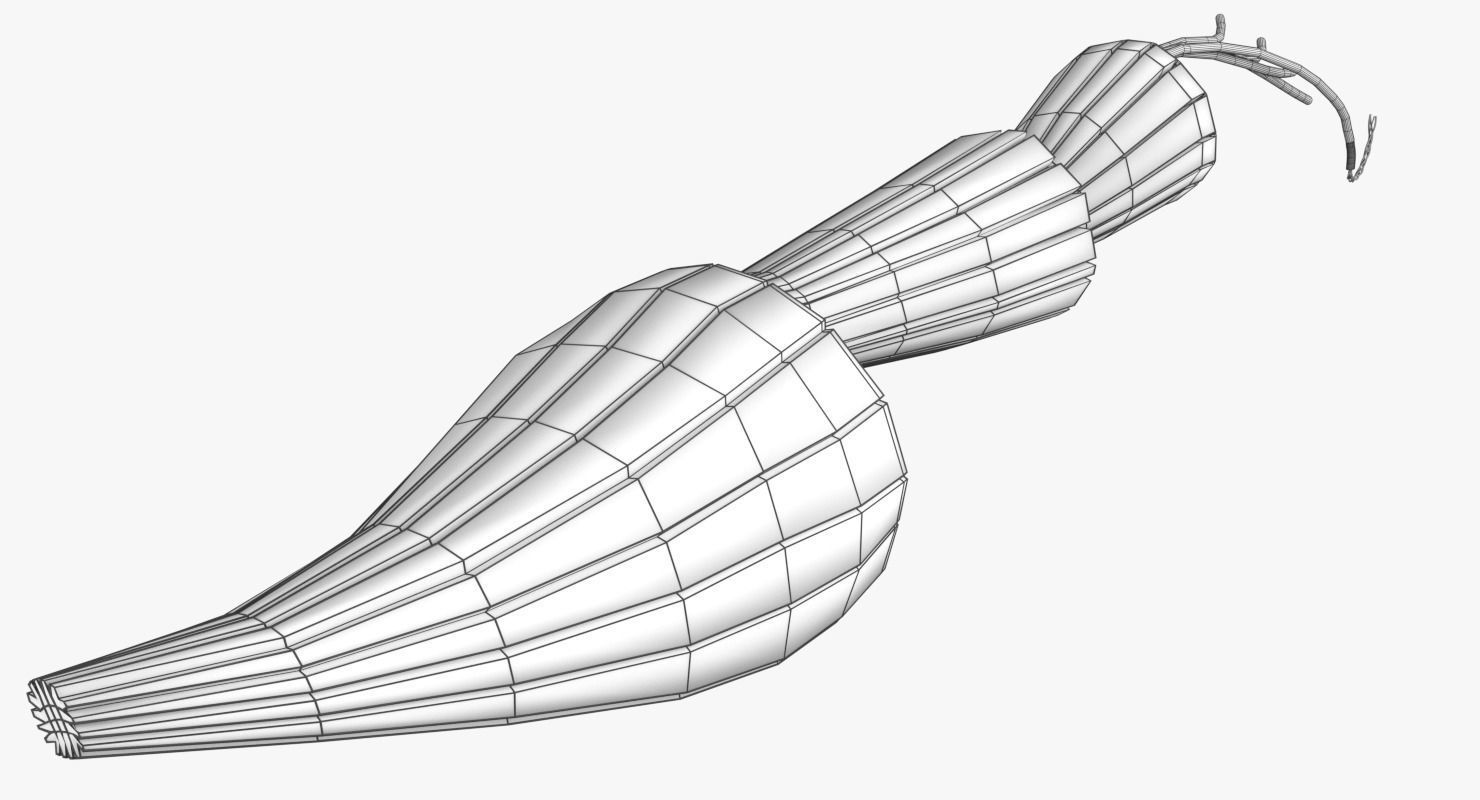 Muscle cross section 3D model_16