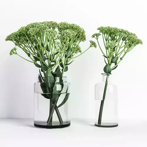 Sedum flower in glass vase 3D model