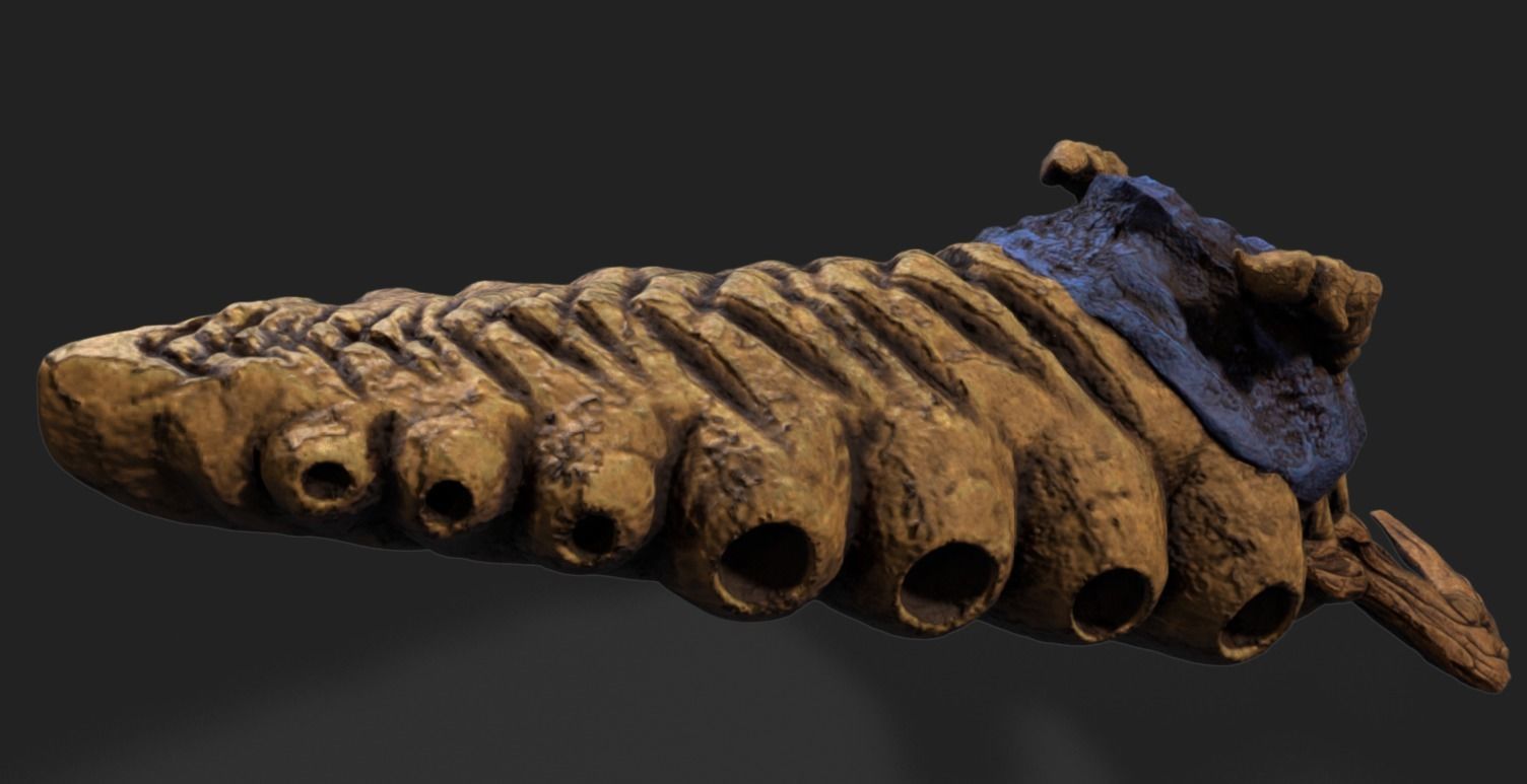 Underground Larvae Low-poly 3D model_1