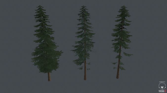 Game Ready Pine Trees Low-poly 3D model