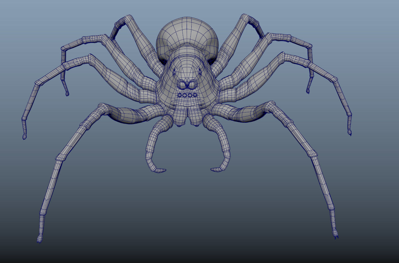 Spider Low-poly 3D model_5