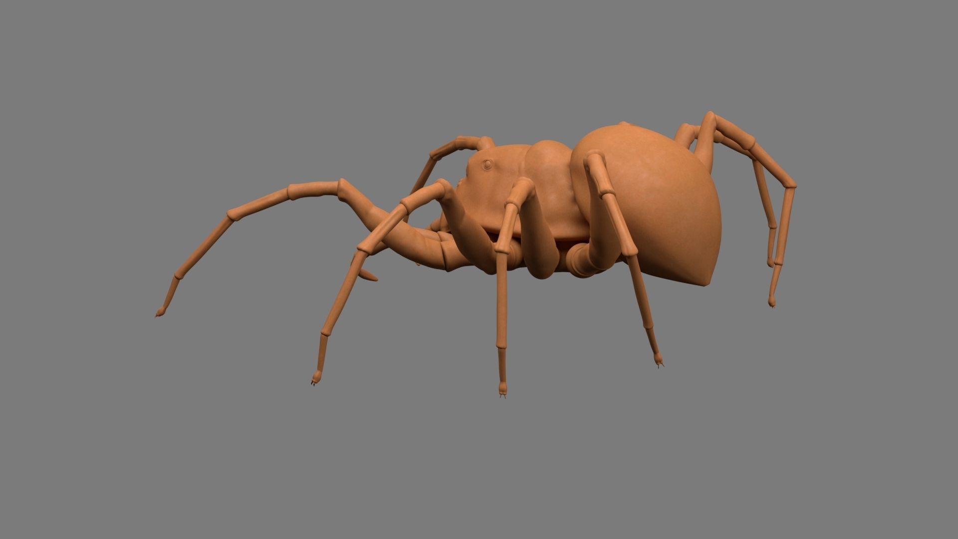 Spider Low-poly 3D model_4
