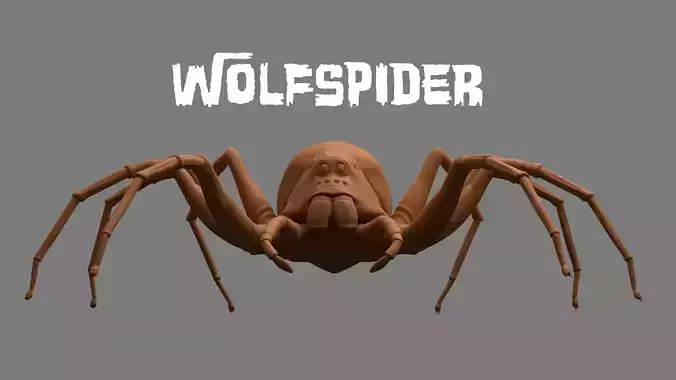 Spider