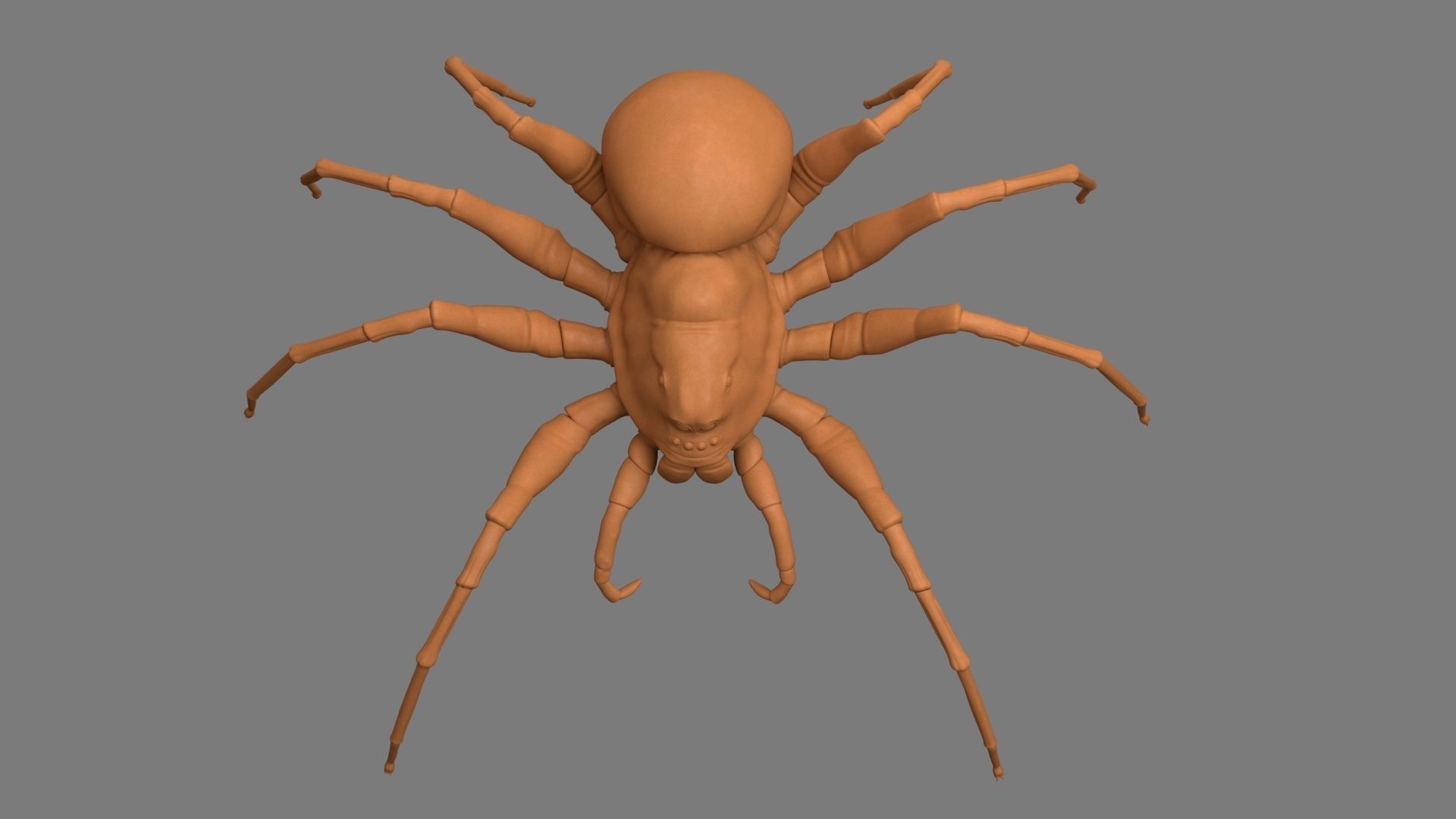 Spider Low-poly 3D model_1