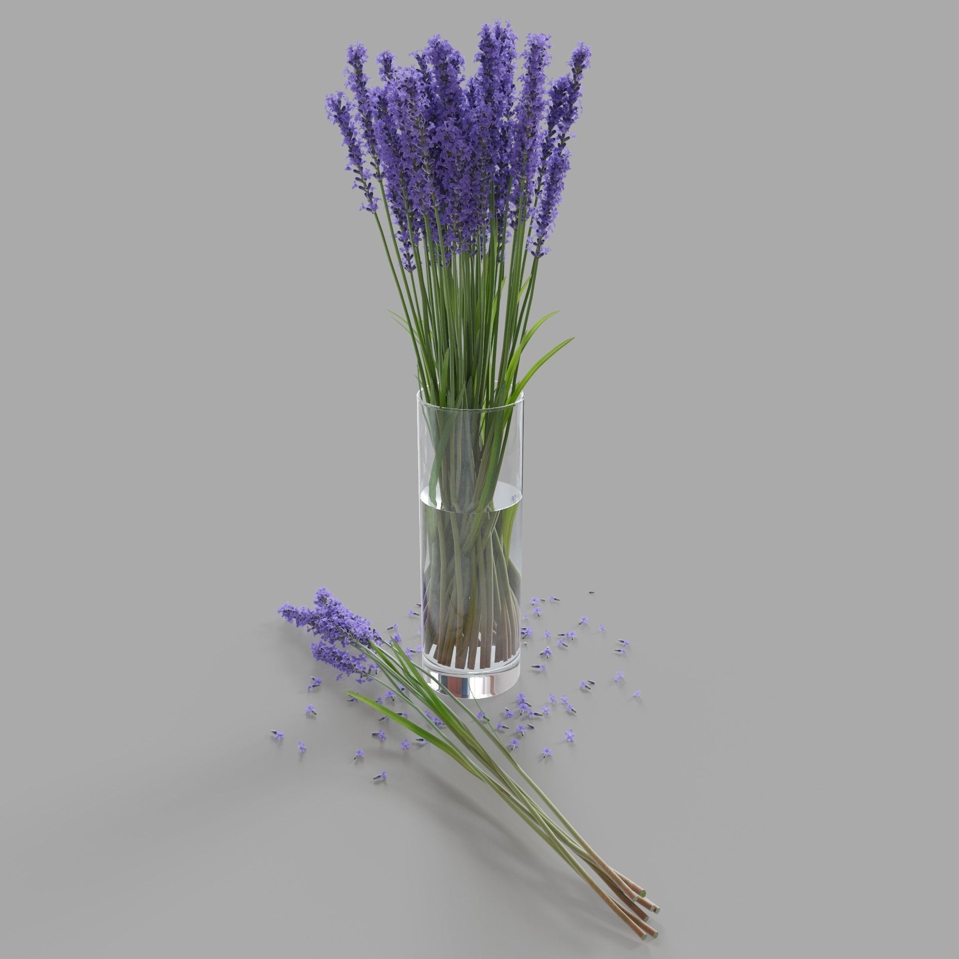 The bouquet of lavender in a vase 3D model_2