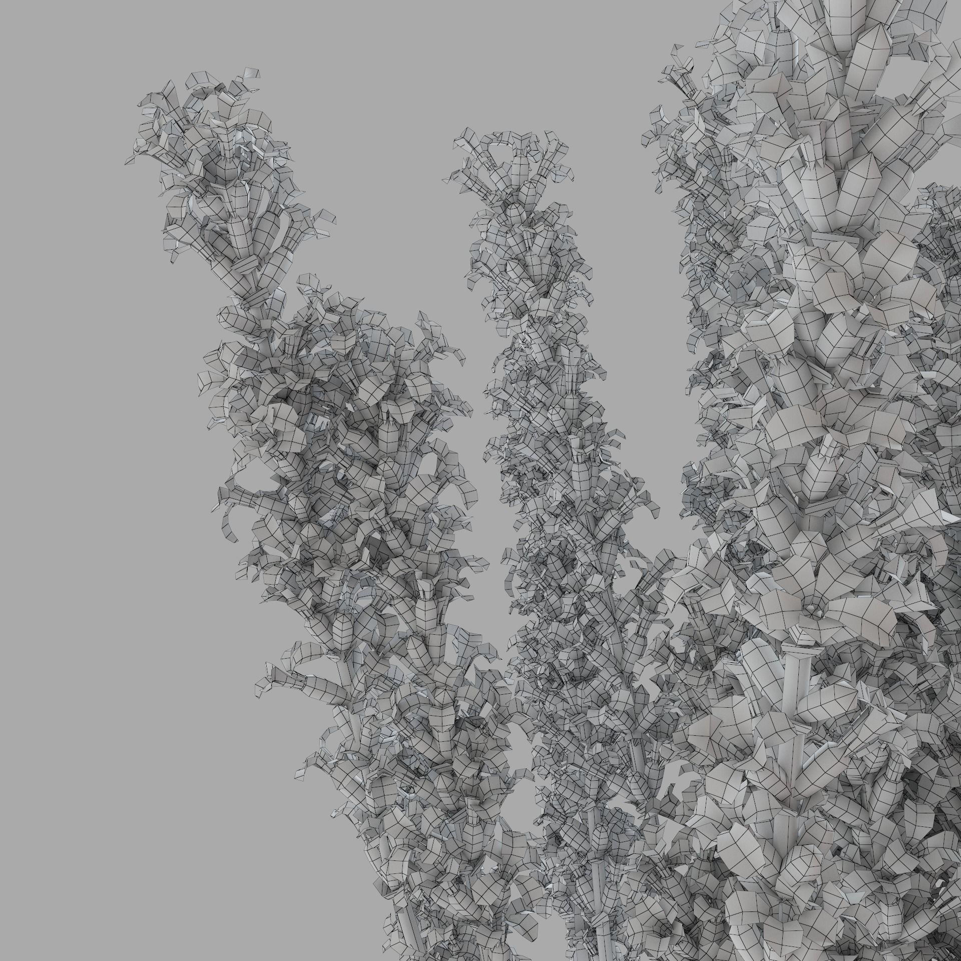 The bouquet of lavender in a vase 3D model_20