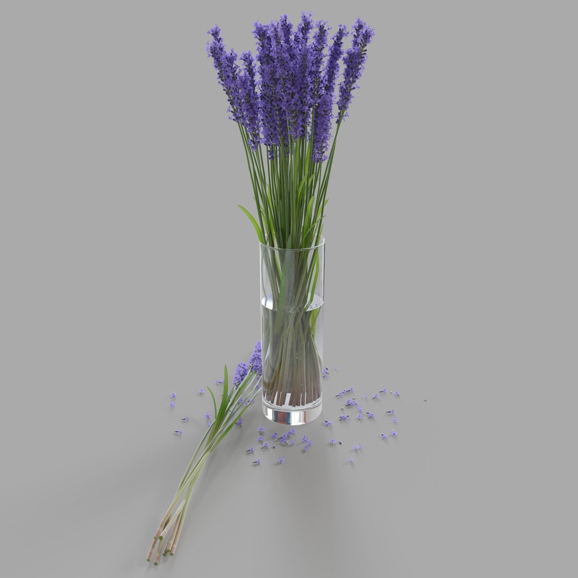 The bouquet of lavender in a vase 3D model_6
