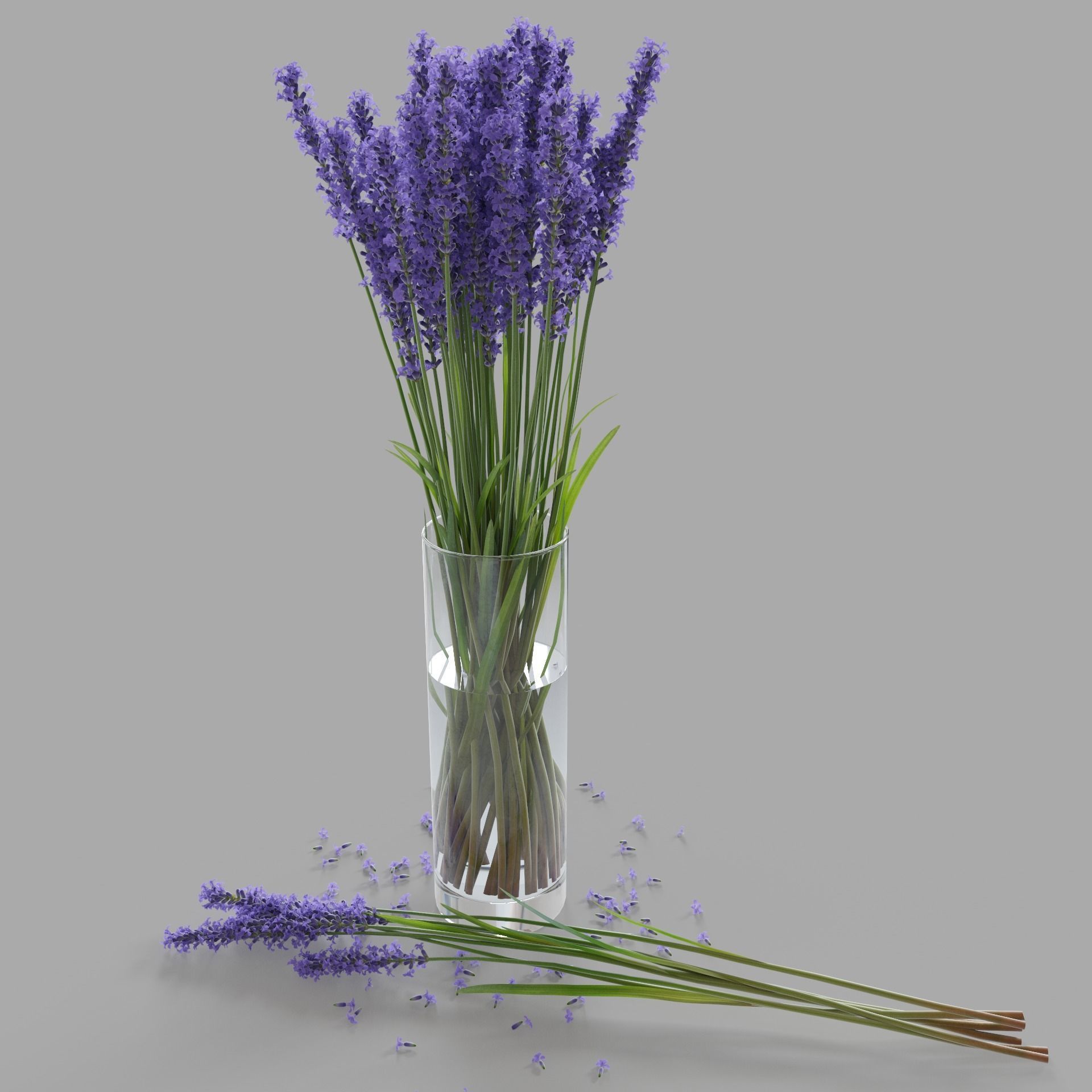 The bouquet of lavender in a vase 3D model_1