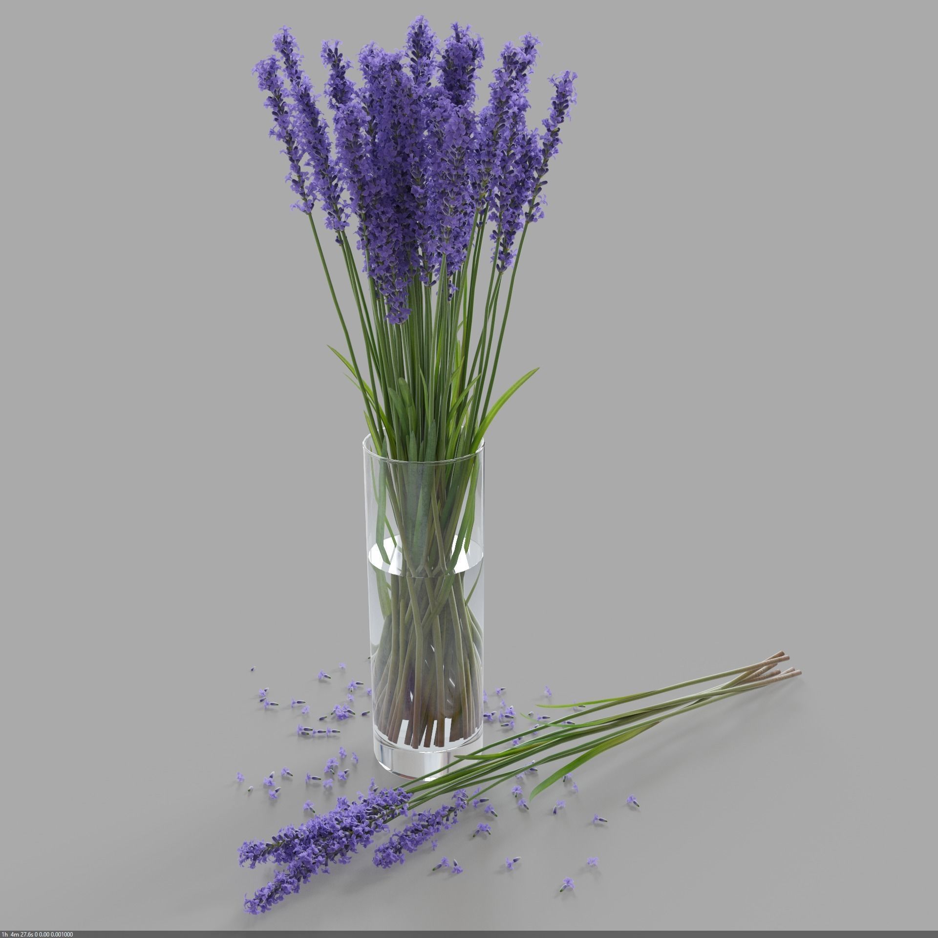 The bouquet of lavender in a vase 3D model_3