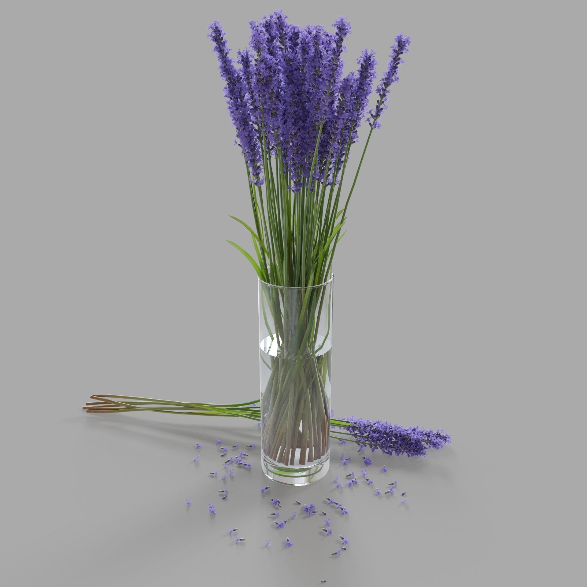 The bouquet of lavender in a vase 3D model_7
