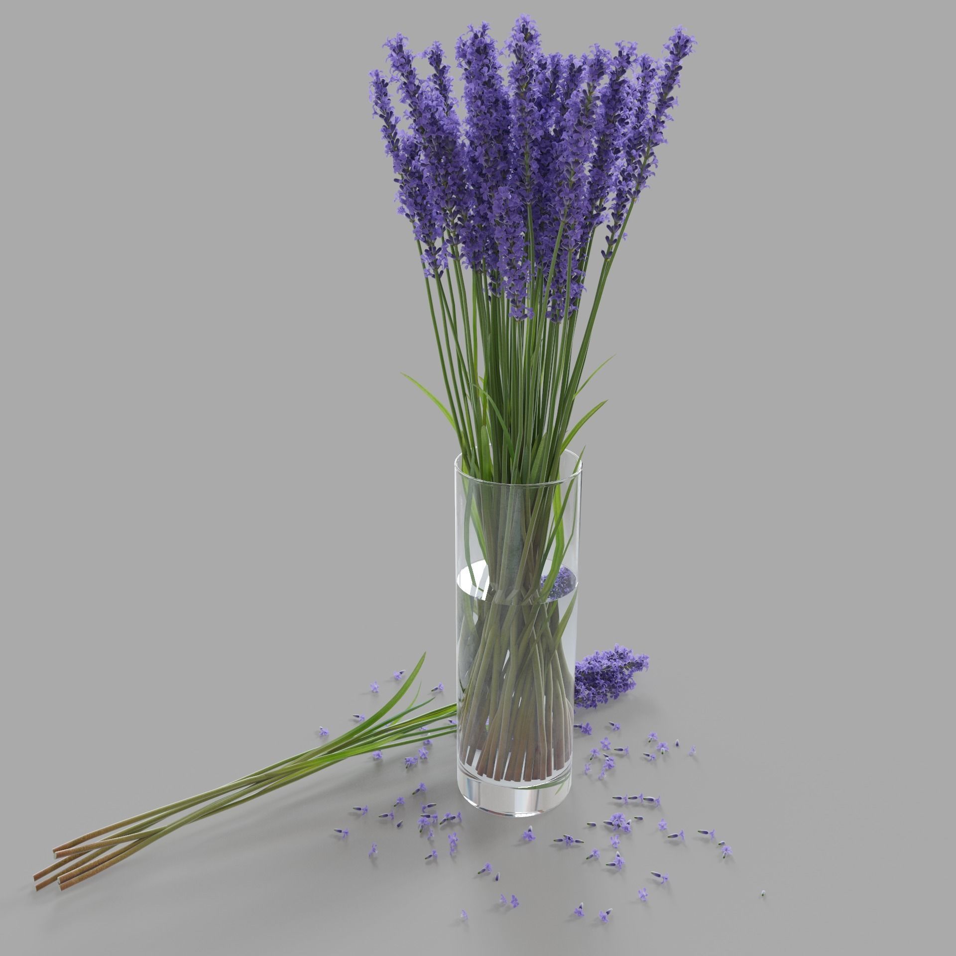 The bouquet of lavender in a vase 3D model_4