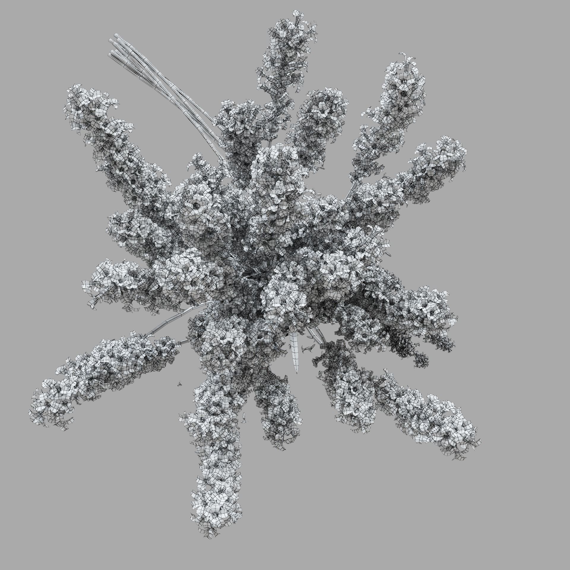 The bouquet of lavender in a vase 3D model_18