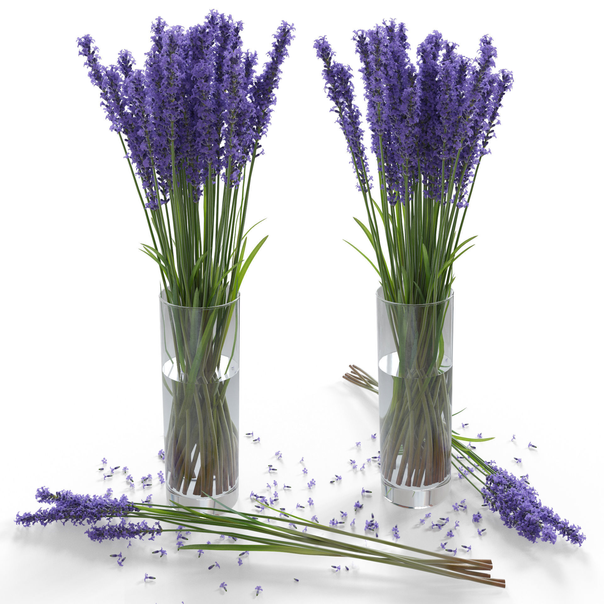 The bouquet of lavender in a vase 3D model_10