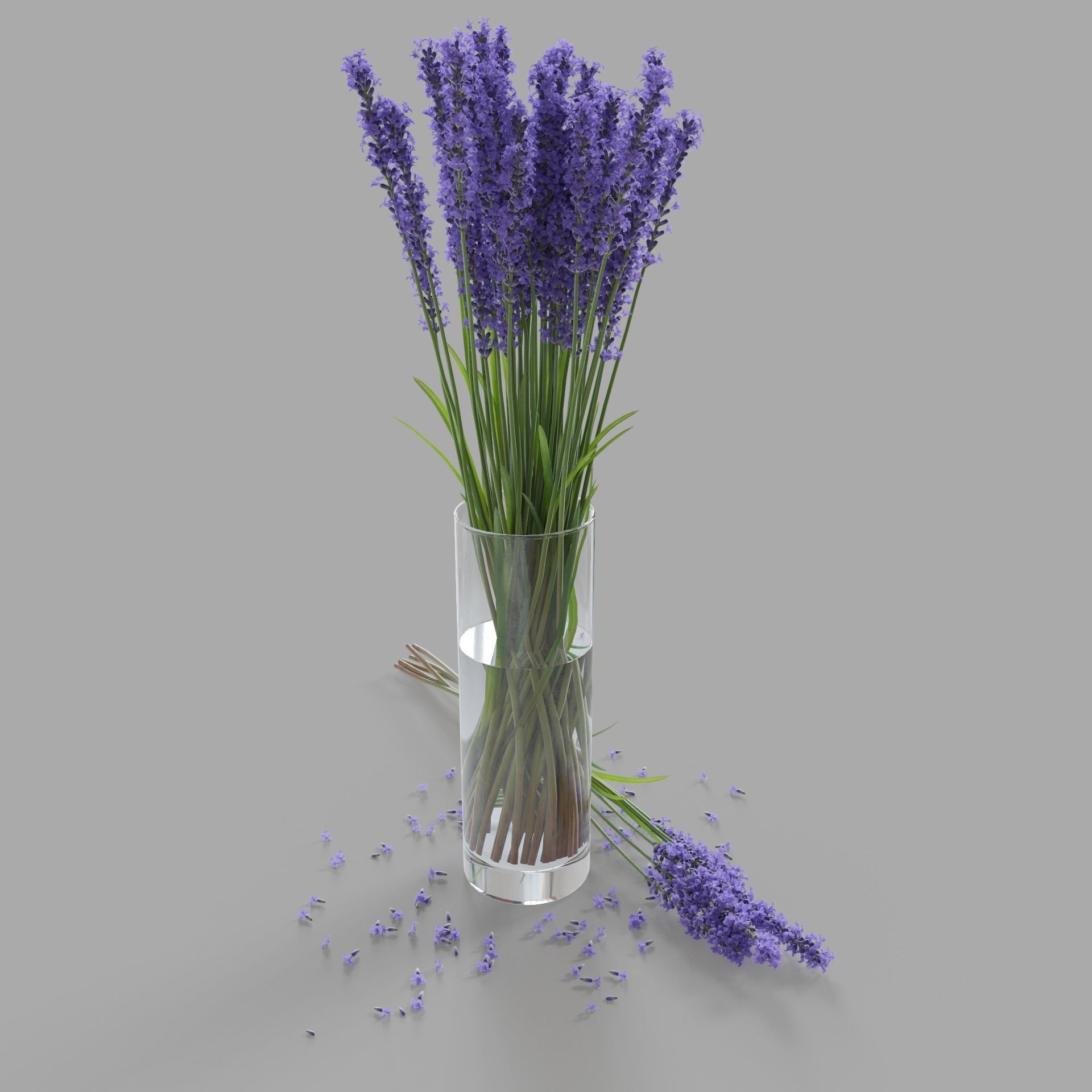 The bouquet of lavender in a vase 3D model_5