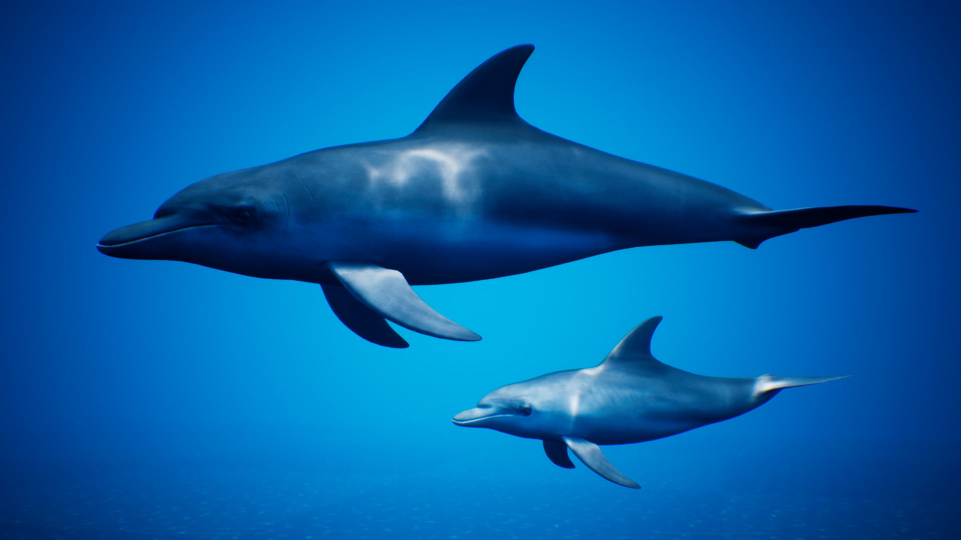 Dolphin Animation Pack - UE4 3ds Max Low-poly 3D model_2