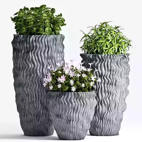 Decorative plant set-58