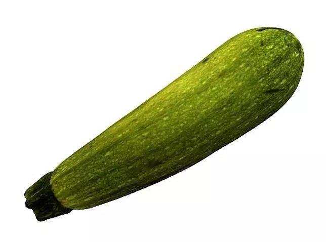 Zucchini 3D model