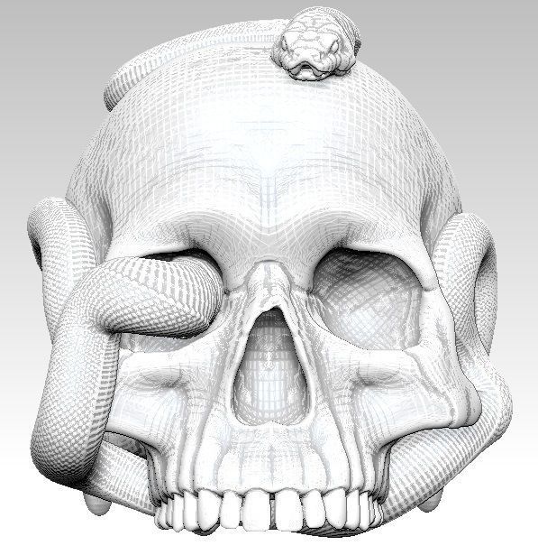 Curls snake with man skull Realistic High detailed 3d print  3D print model_4
