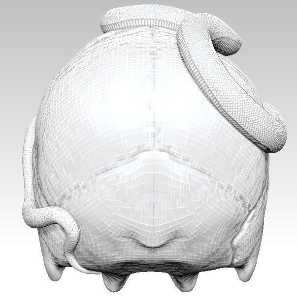 Curls snake with man skull Realistic High detailed 3d print  3D print model_2