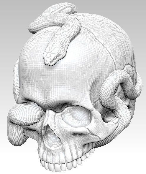 Curls snake with man skull Realistic High detailed 3d print  3D print model_1