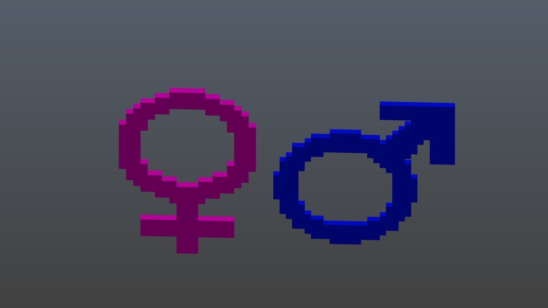 Symbols of gender voxel Low-poly 3D model_8
