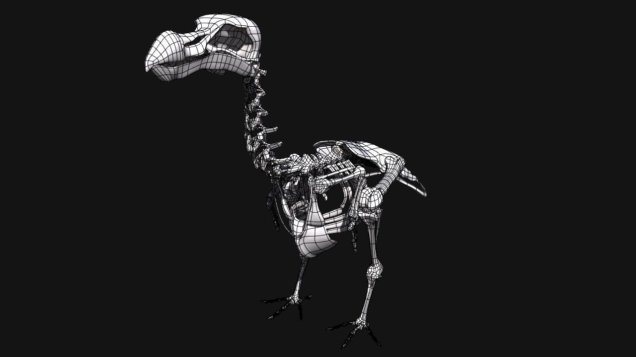 Dodo Skeleton 3D print model_6