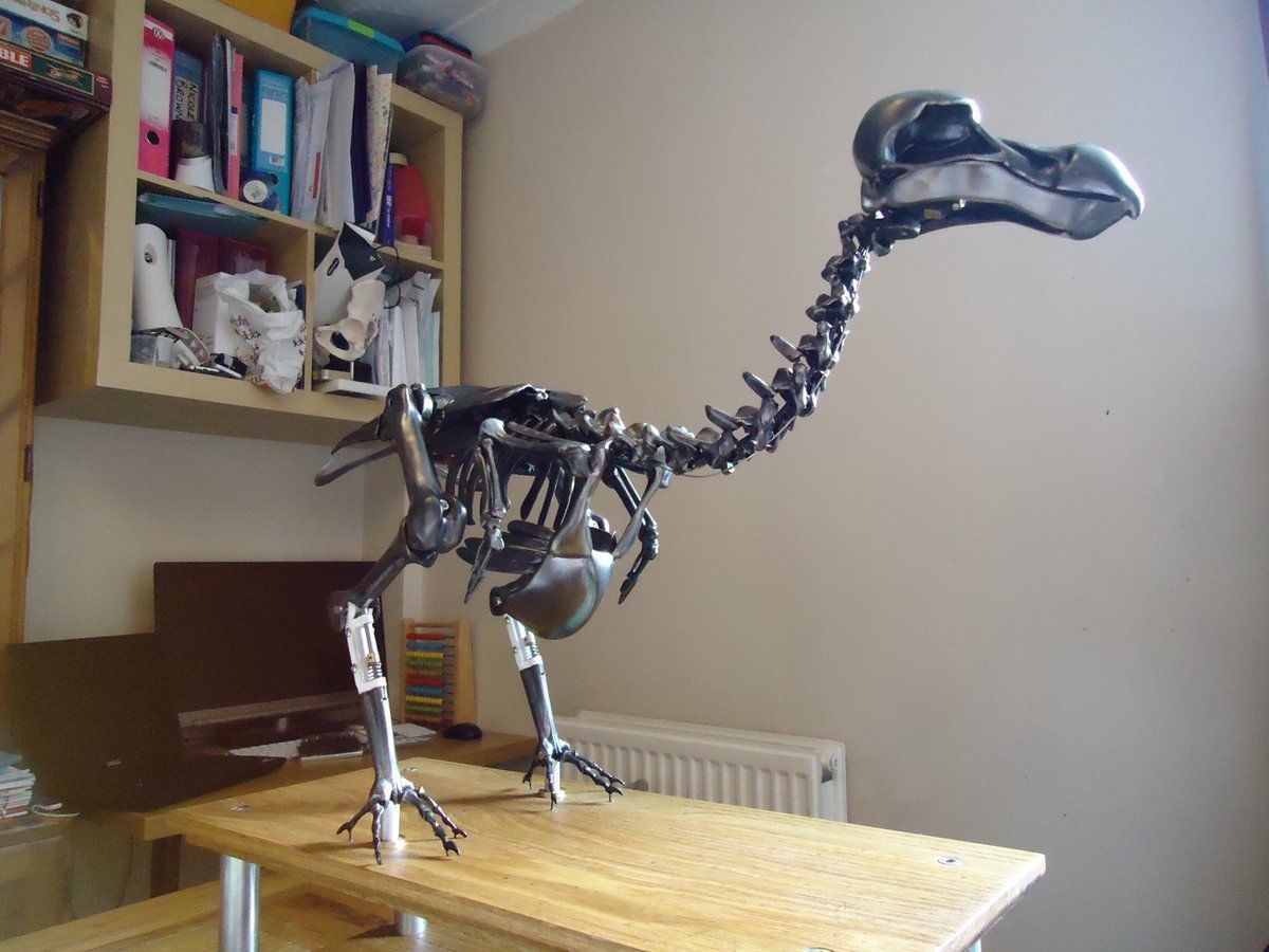 Dodo Skeleton 3D print model_1