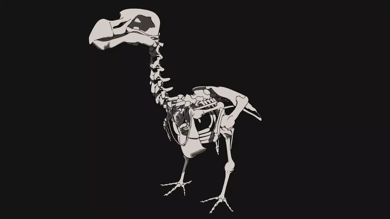 Dodo Skeleton 3D print model_0