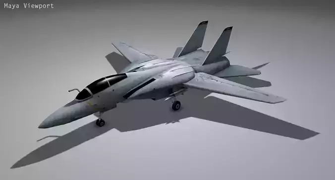 F14 TOMCAT Low-poly 3D model
