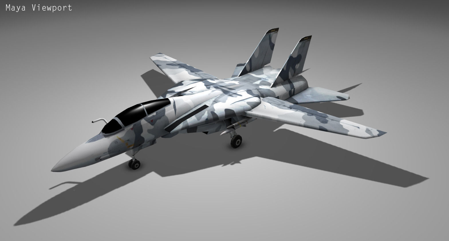 F14 TOMCAT Low-poly 3D model_1