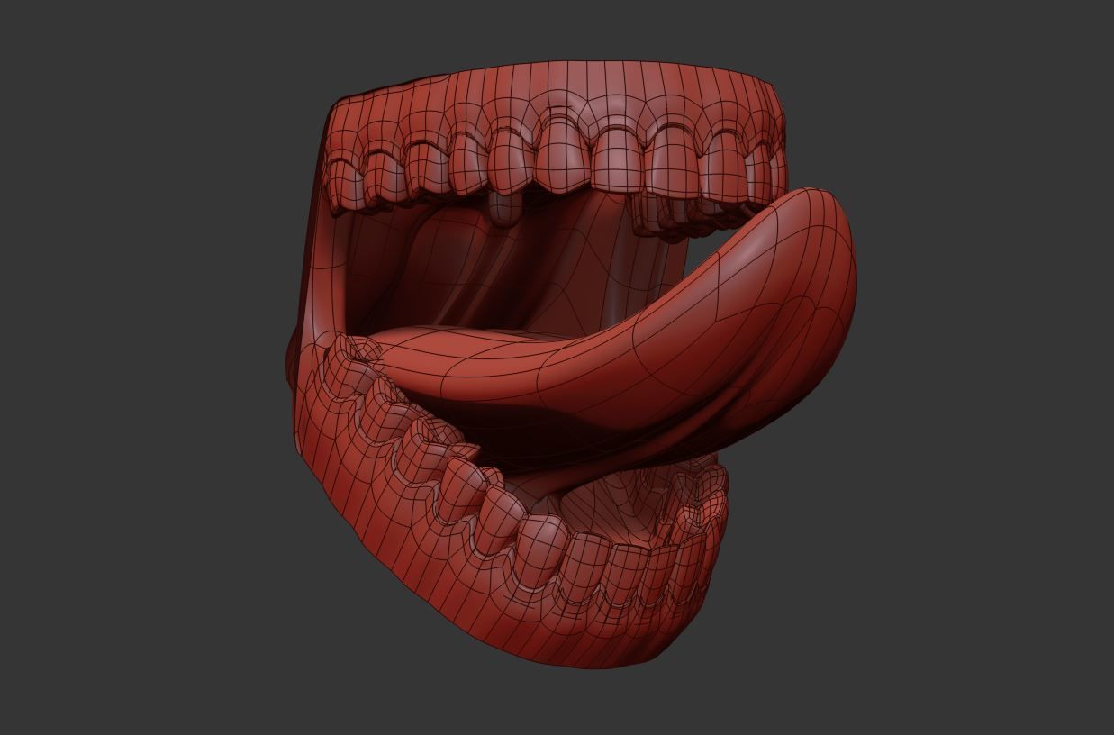 Teeth and Mouth 3D model_12