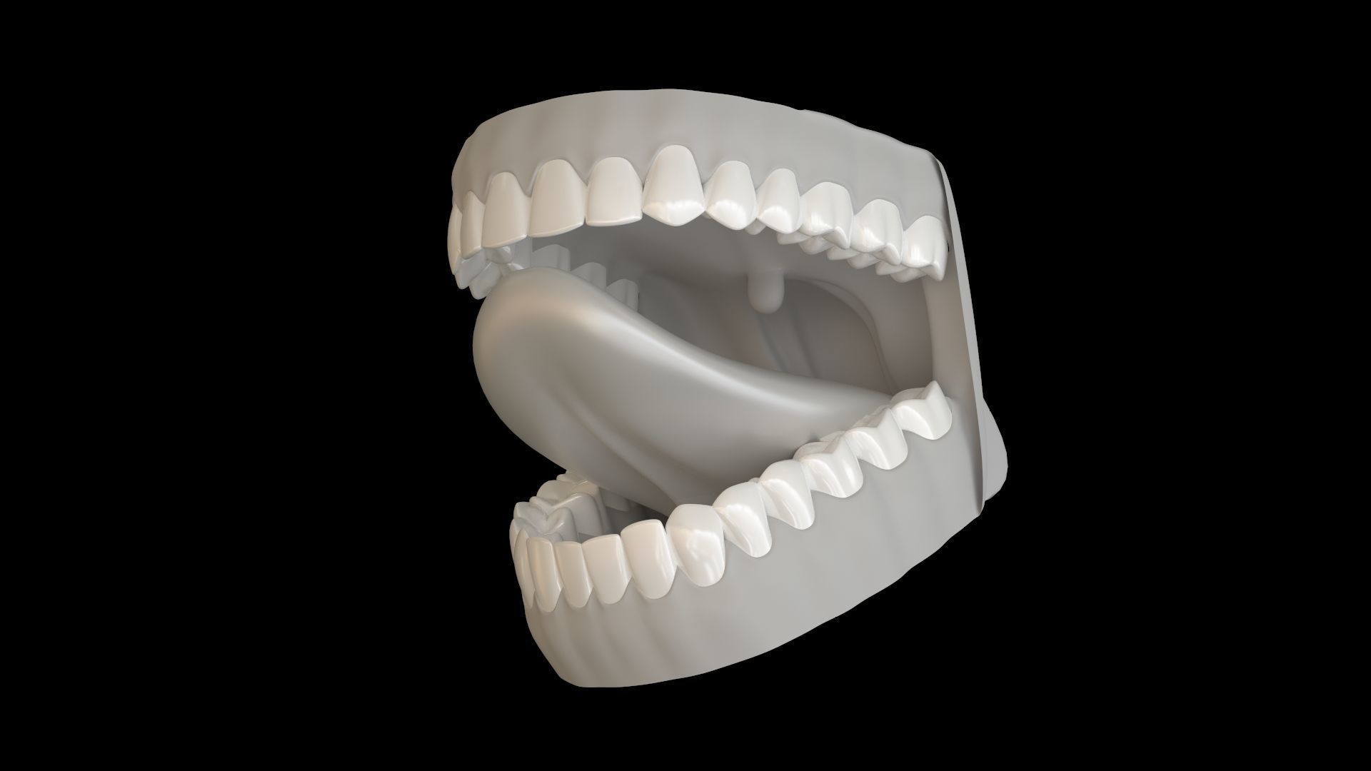 Teeth and Mouth 3D model_10