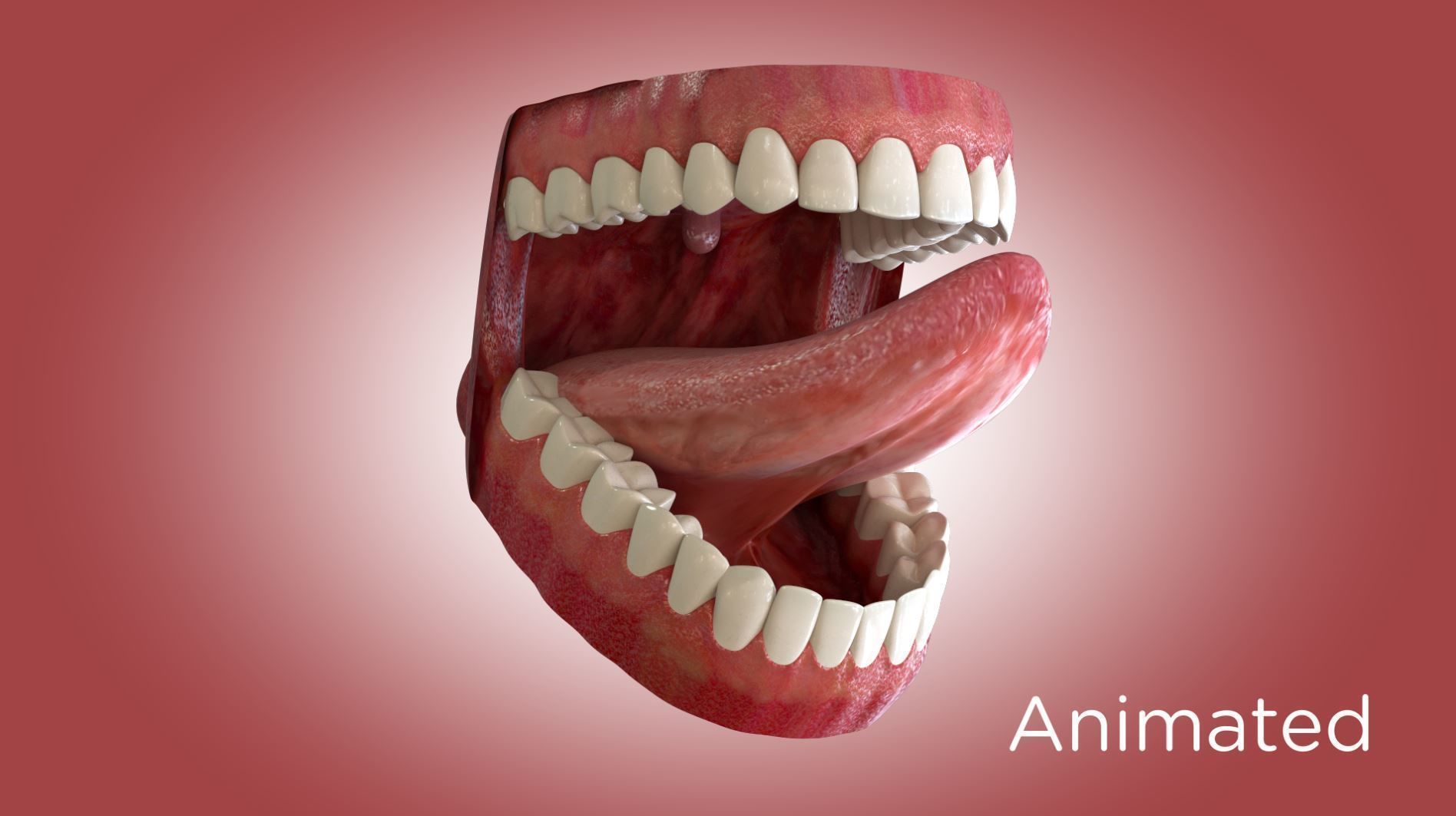 Teeth and Mouth 3D model_3