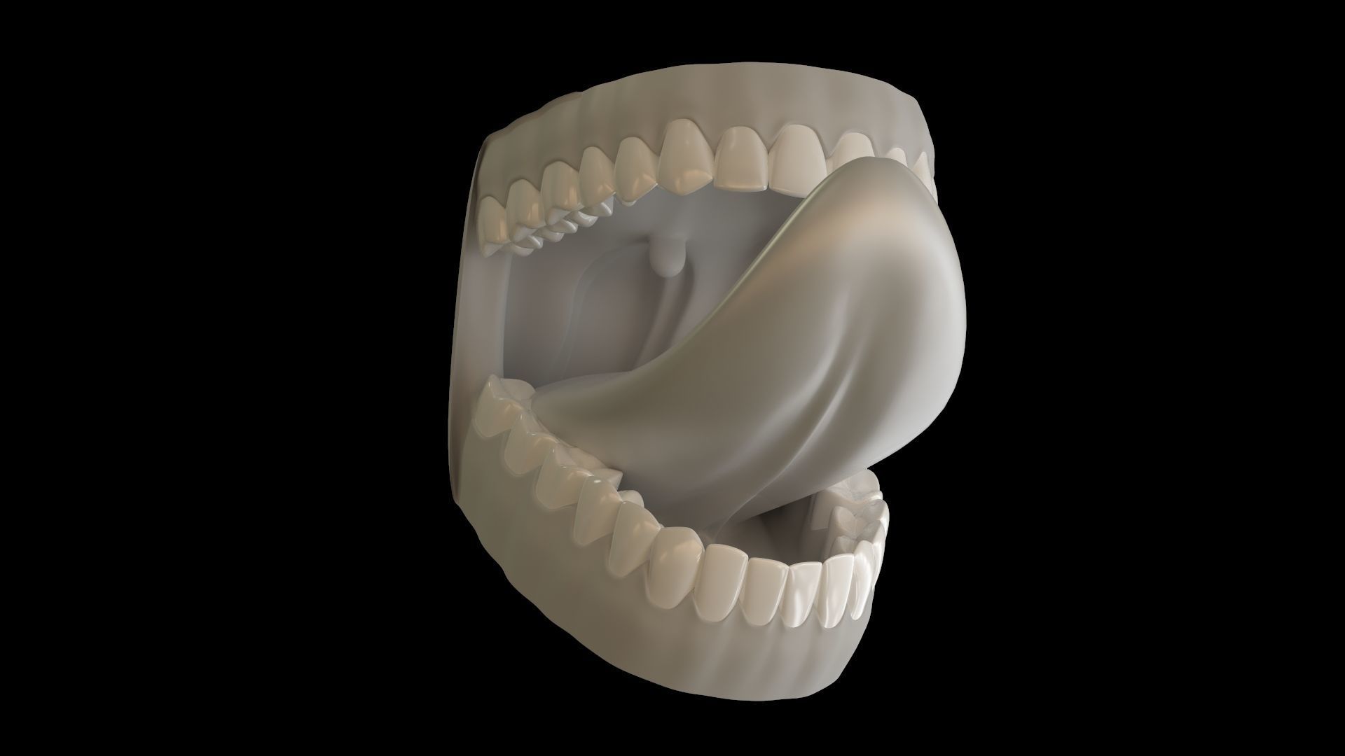 Teeth and Mouth 3D model_11