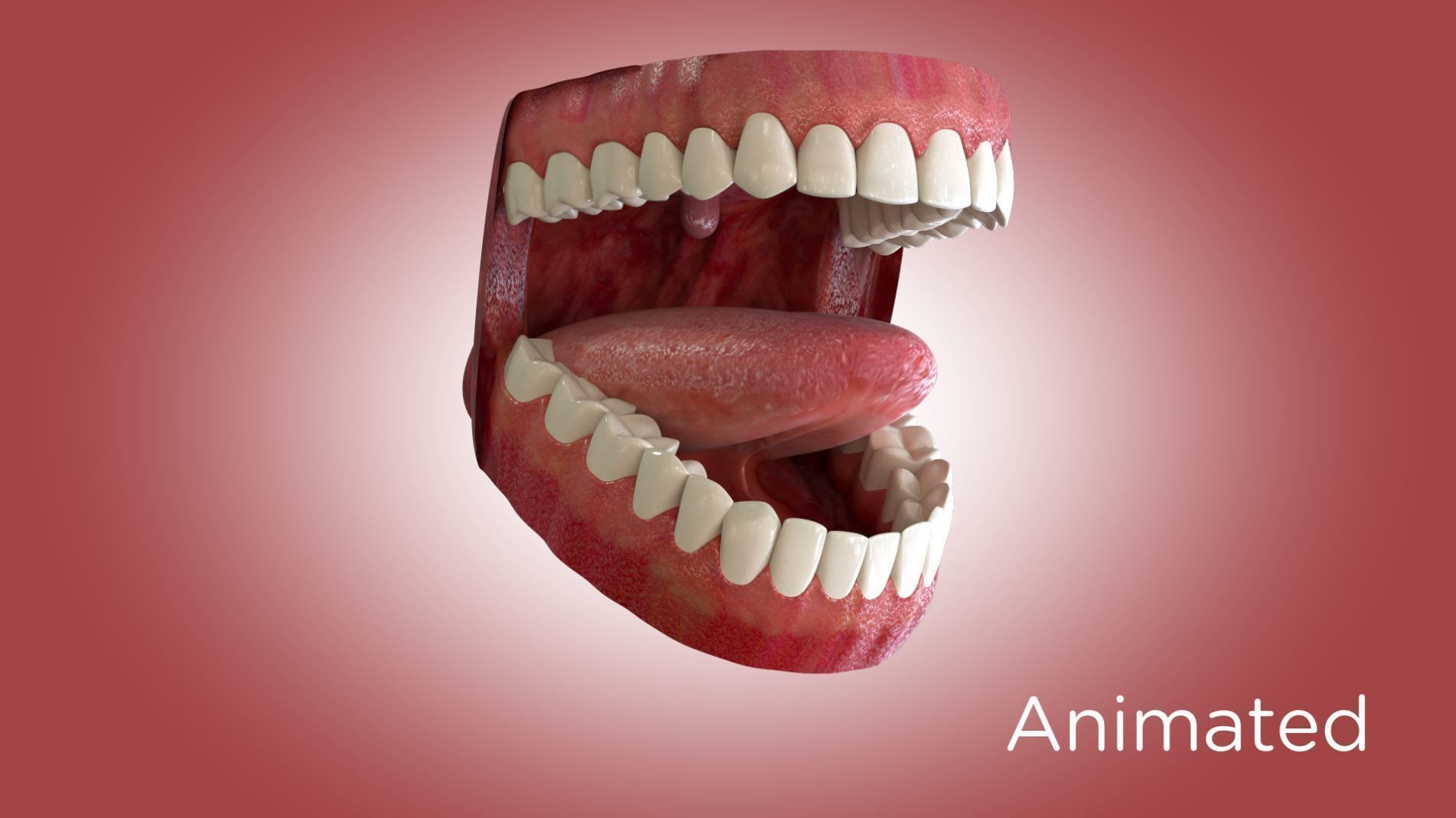 Teeth and Mouth 3D model_4
