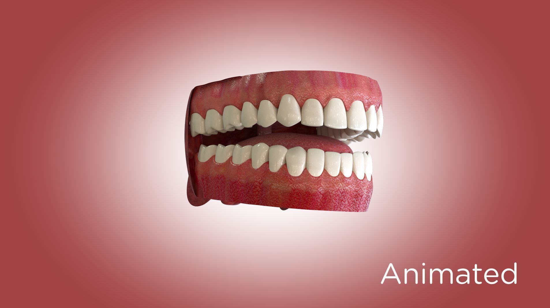 Teeth and Mouth 3D model_5