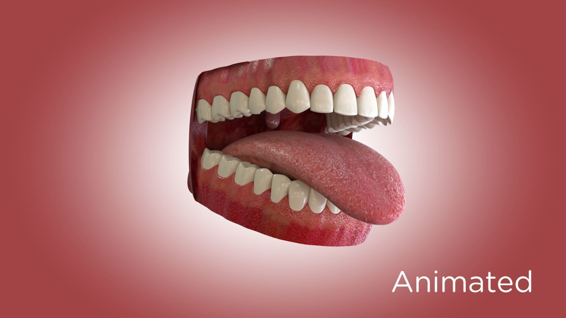 Teeth and Mouth 3D model_2