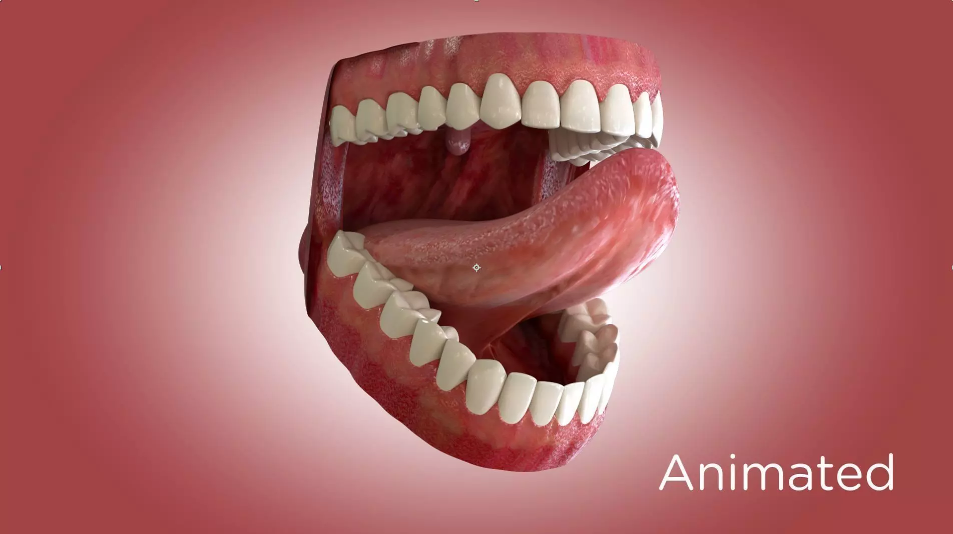 Teeth and Mouth 3D model_0