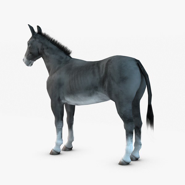 Donkey two donkeys 3D model_3