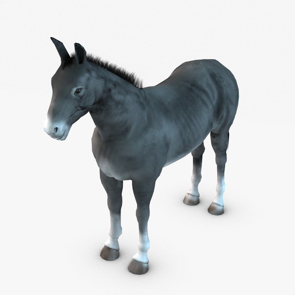 Donkey two donkeys 3D model_5