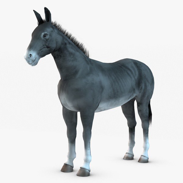 Donkey two donkeys 3D model_4